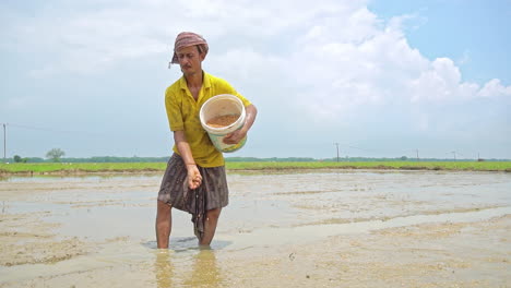 in an agricultural field, an old farm worker engaged in a sowing activity, slow motion