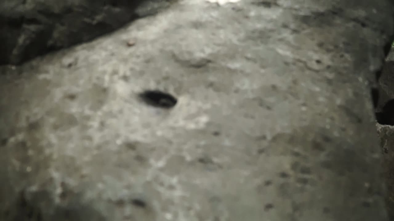 hermosa cascada indonesia en la selva tropical sobre la roca, tiro de inclinación constante