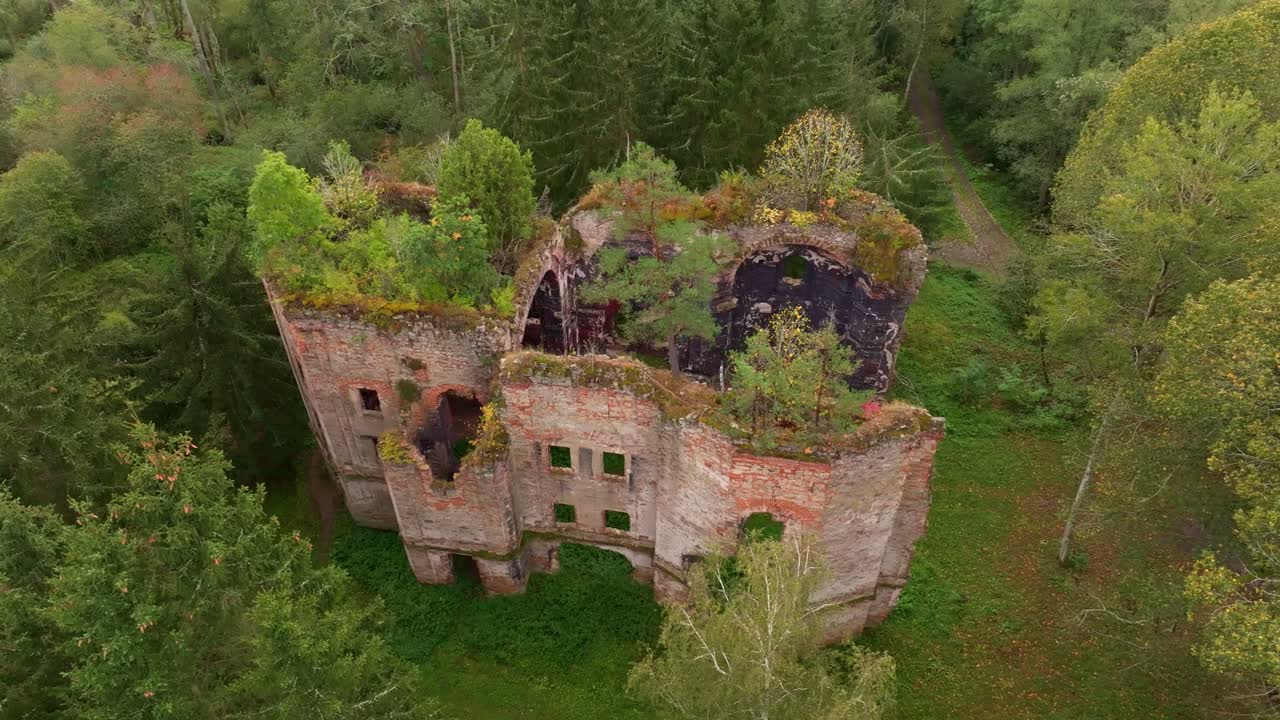 Veduta aerea delle rovine di San Giovanni Battista in mezzo a fitta foresta, Kočov, Repubblica Ceca