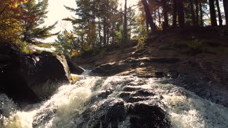 a breath-taking shot tracking up a natural waterfall as the beautiful golden rays from the morning sun create a lens flare as it shines through the trees on a spectacular day outdoors