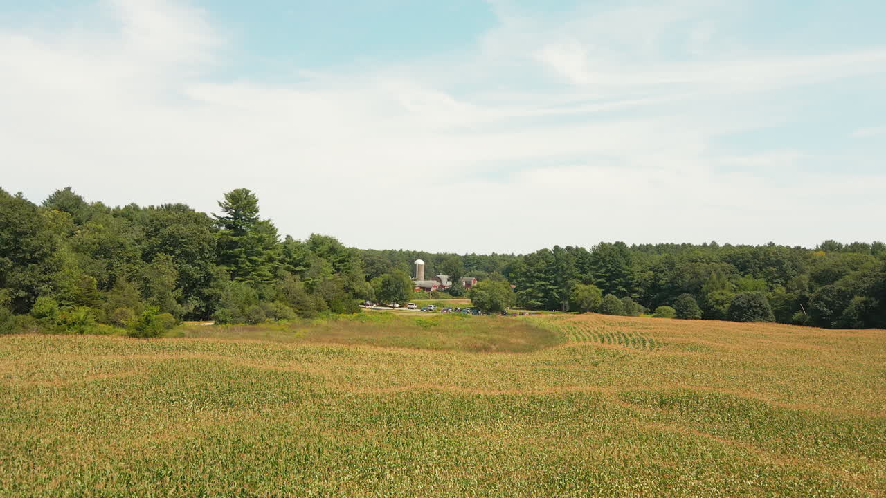 옥수수 밭에서 사일로 및 헛간으로 밀고 있는 농장에서 공중 상승