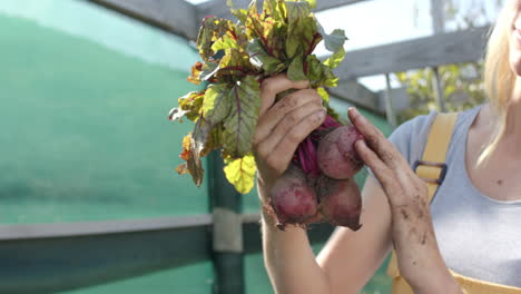 Glückliche-Kaukasische-Frau,-Die-Im-Garten-Arbeitet-Und-Rote-Bete-Pflückt,-Zeitlupe