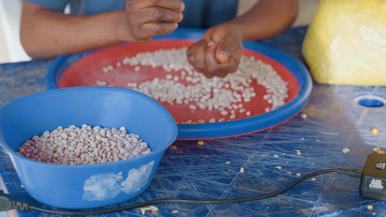 Hands sorting beans on red tray in home kitchen, deliberate fingerbyfinger selection into blue bowl, tactile closeup of white pulses, domestic chore captured in methodical slow rhythm, focus on motion