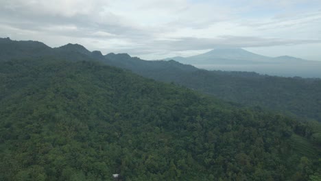 Fly-over-endless-hills-forest-in-cloudy-morning