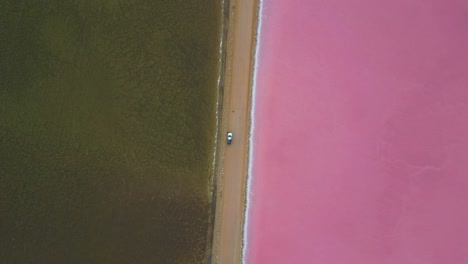 Aerial-view-of-the-way-to-Point-Sinclair-with-the-beautiful-pink-salt-lake-McDonnell