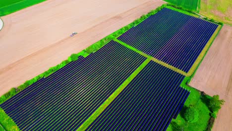 Luftaufnahme-Einer-Großen-Solarpanelfarm-Inmitten-Grüner-Und-Brauner-Ackerflächen