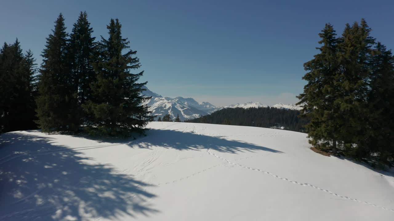 drone volando sobre una colina cubierta de nieve y revelando un impresionante valle con bosque verde