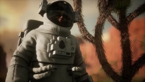 astronauta en el alto desierto de nevada