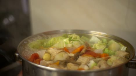 pot of mixed vegetable stew boiling and bubbling without lid, filmed as close up