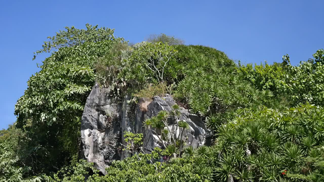 Stunning View of a City Nestled Among Lush Green Mountains and Cliffs