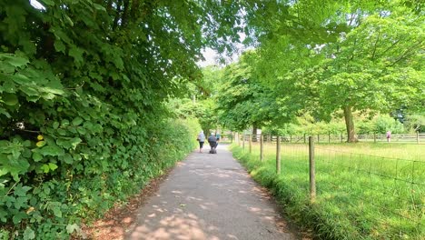 people walking along a tree-lined path