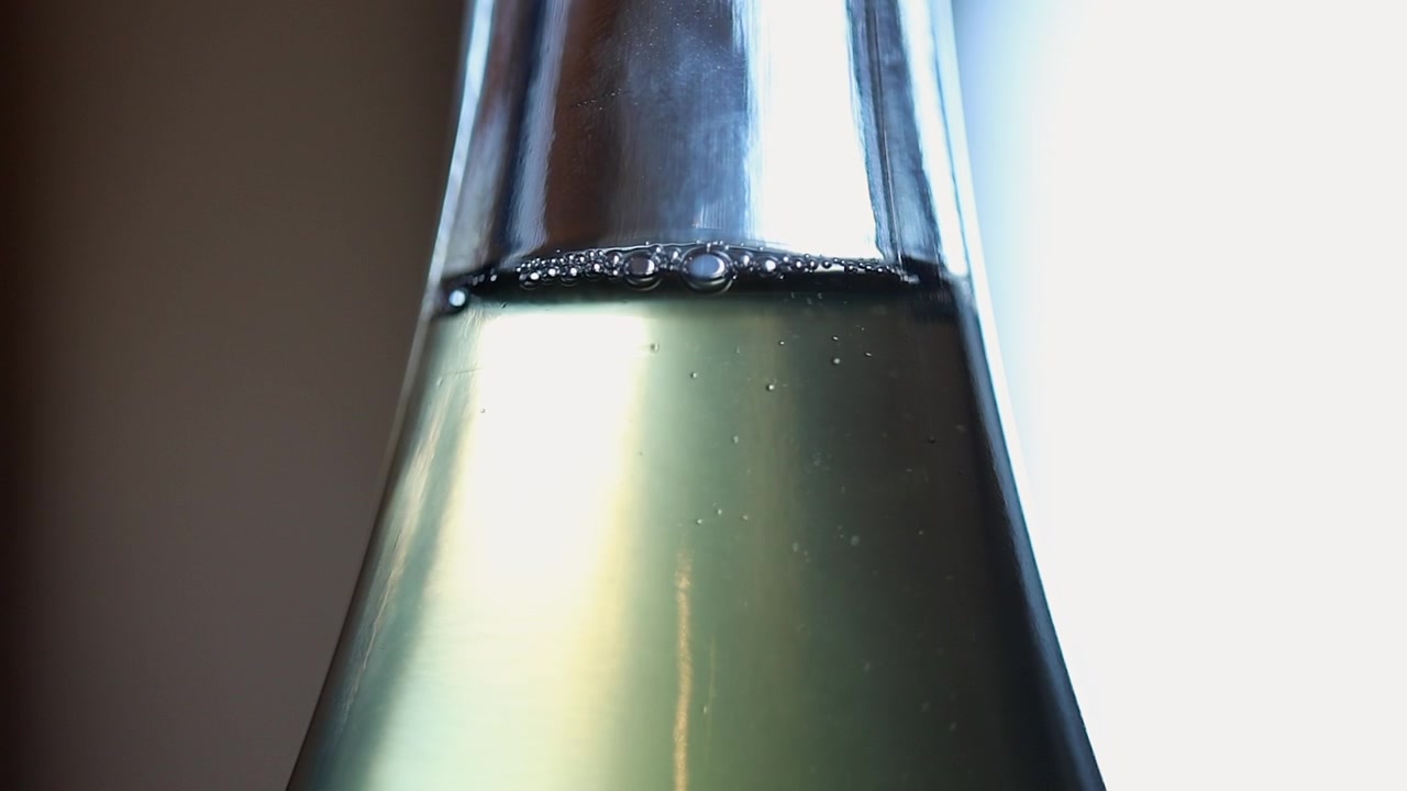 Closeup: Clear glass bottle neck containing pale amber liquid bubbles