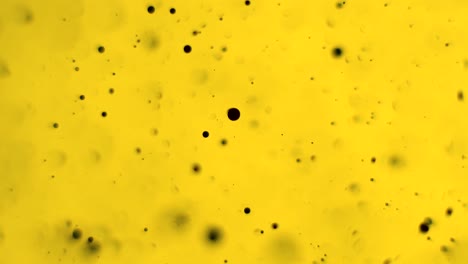los orbes negros dramáticos captan la luz en su borde en un líquido dorado alejar parece espacio