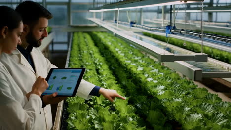 scientists monitoring plant growth in a vertical farm with tablet
