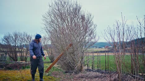 A Person Braces a Large Wooden Board Against a Leafless Tree in a Quiet Rural Field - Static Shot