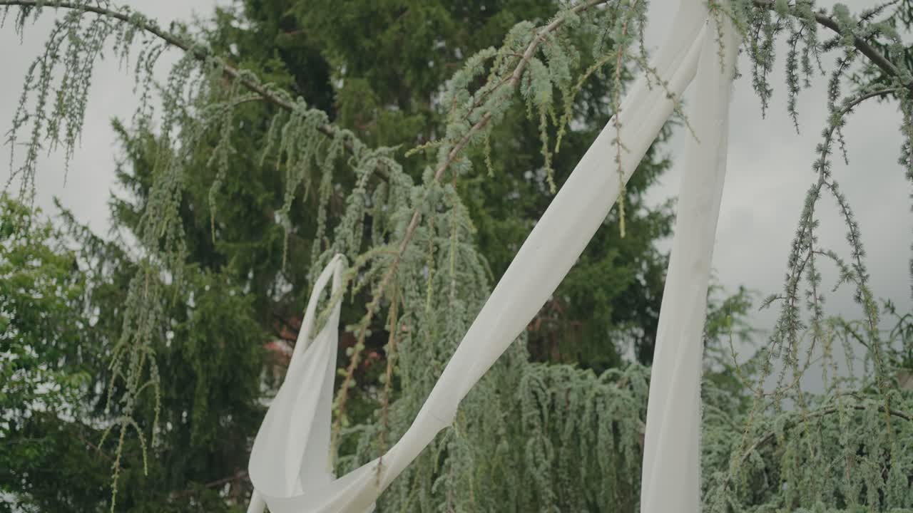 Light white cloth strips tied to tree branches in natural setting