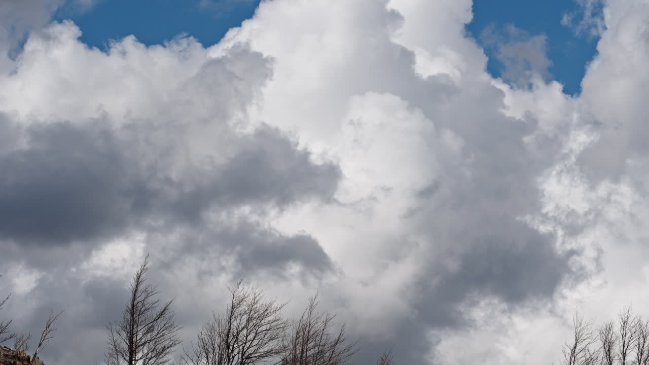 Fluffy white clouds drifting fast over bare trees in a timelapse sky view