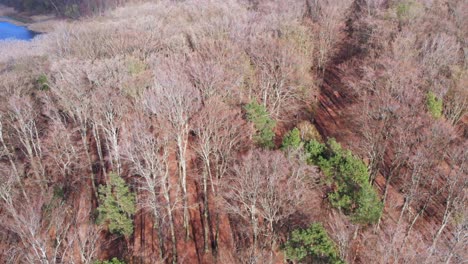 Tiro-Panorámico-Del-Lago-Otomin