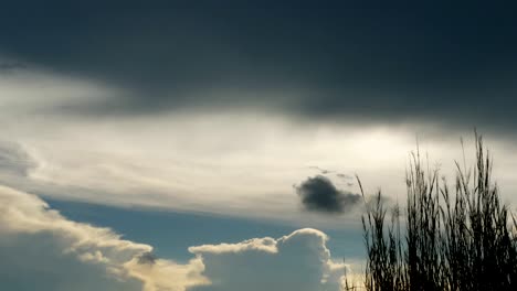 4k motion, grassland and sky