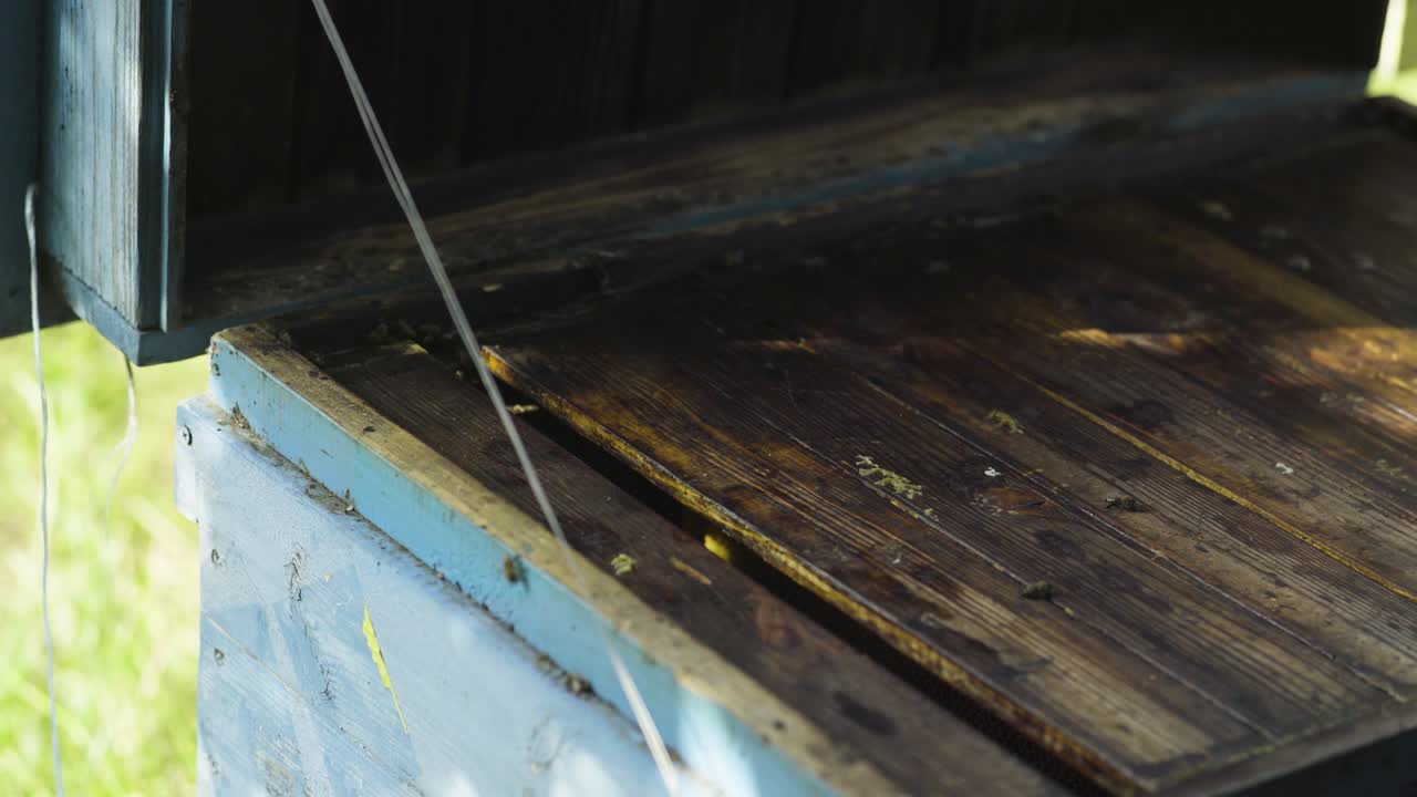 조용한 벌들로 벌집을 열고