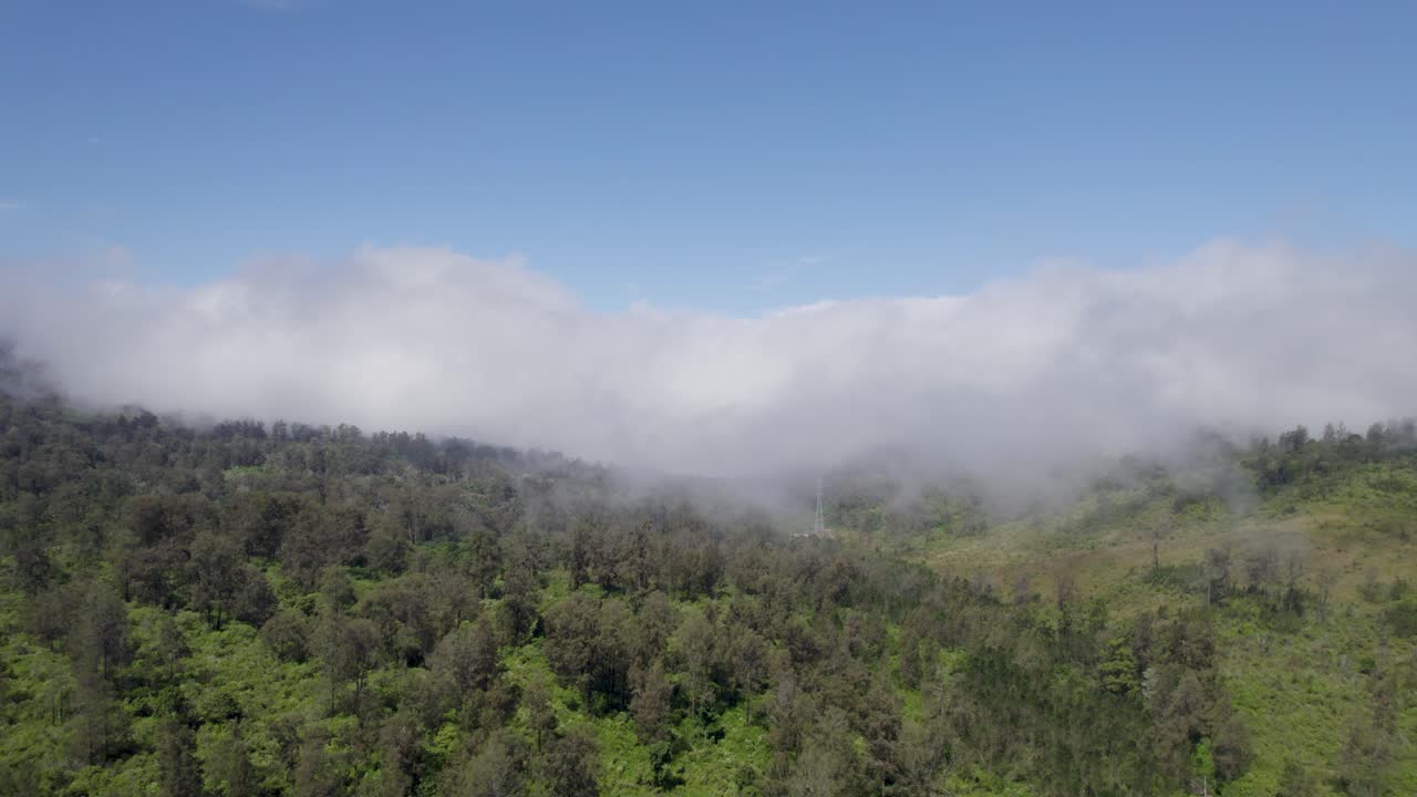 Aerial footage over the trees covered by mist in the mountain forest nature