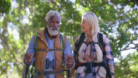 senior couple hiking in forest