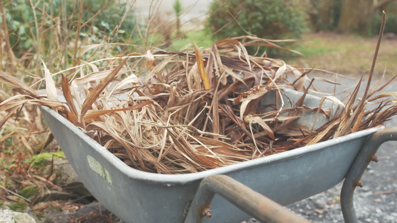 carretilla de llenado con plantas orgánicas muertas para compost