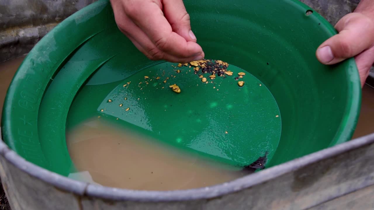 Gold panning and prospecting business success: golden nuggets revealed in green trap pan picked up by Caucasian male hand and fingers showing findings, static close up portrait