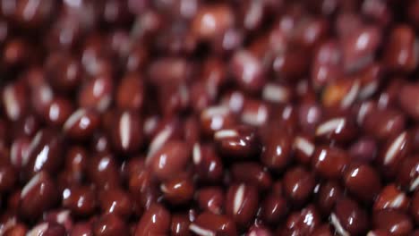 close-up shot of red bean being washed and shaken