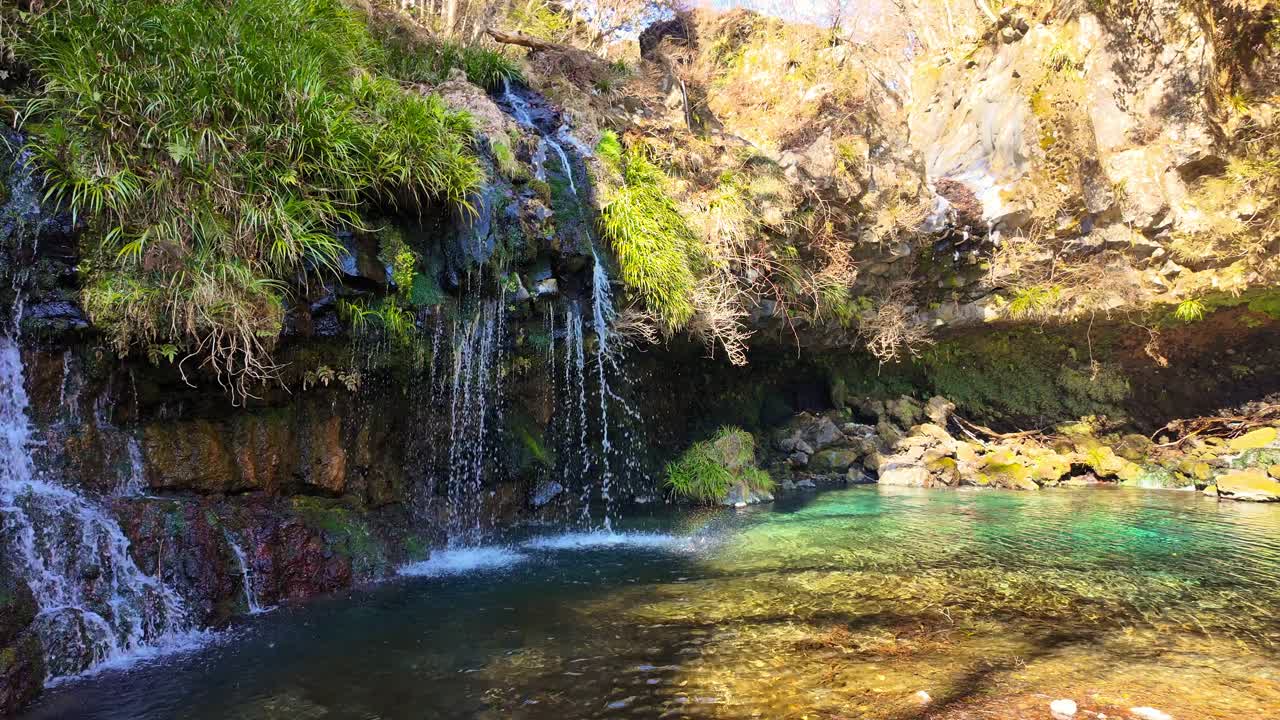 Acqua di sorgente cristallina scende a cascata su rocce vulcaniche muschiose in una vivace pozza turchese. Un gioiello naturale pacifico e nascosto a Fujinomiya, Giappone, che mostra acqua incontaminata e vegetazione lussureggiante