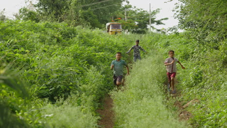 boys running on a path in a lush, green area