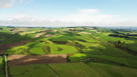 aerial dolly right over agricultural fields on sunny day, new zealand