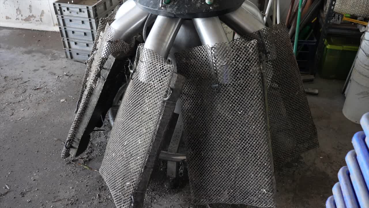 Close up of the final section on a sydney rock oyster farm, where the oysters are weighed and bagged. New South Wales, Australia
