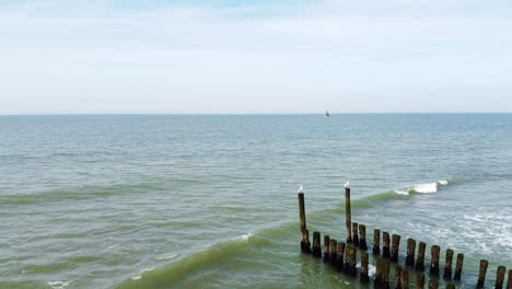 Two-seagulls-sitting-of-poles-of-a-long-groyne-reaching-into-the-sea-in-the-Netherlands