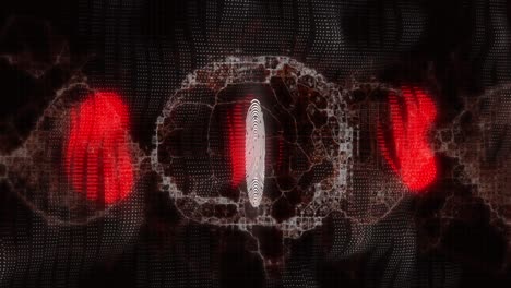 Animation-of-white-fingerprint-and-brain-with-glowing-red-research-data-processing-on-black