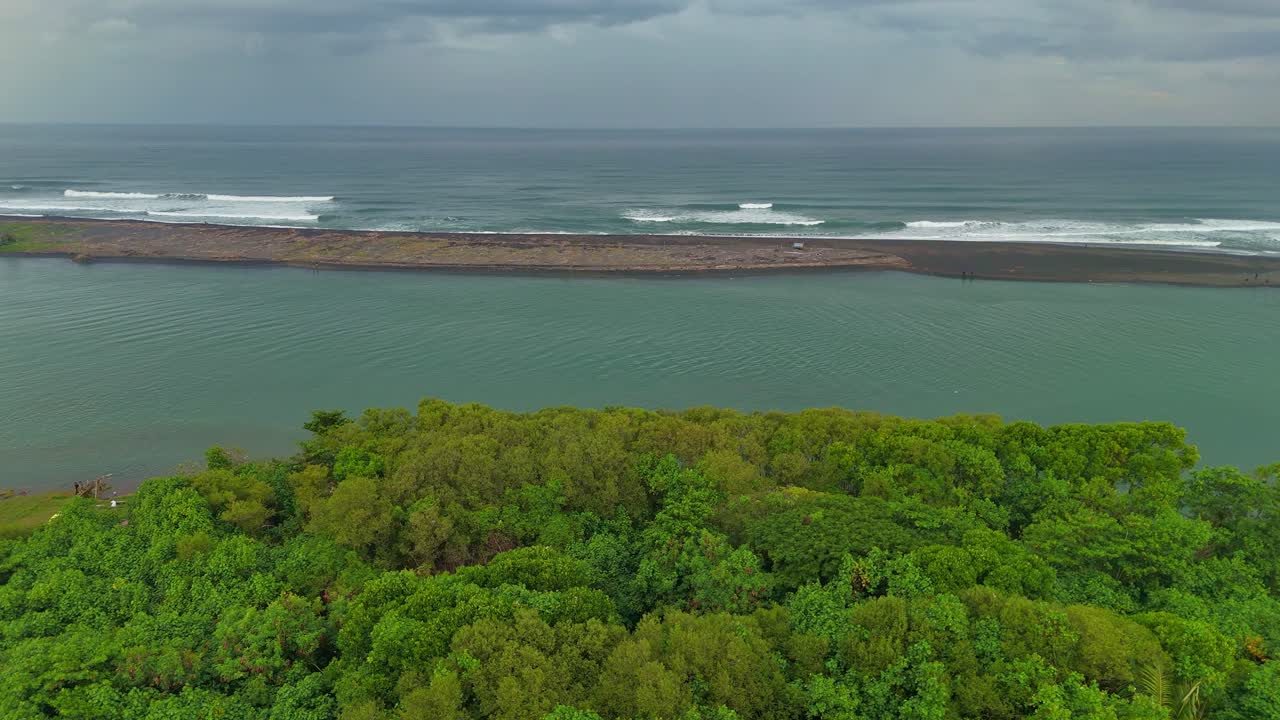 Aerial view of mangrove forest on the coast with view of ocean waves