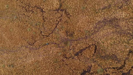 hiking over the volcanic terrain of casahuala in ecuador with a drone shot from above