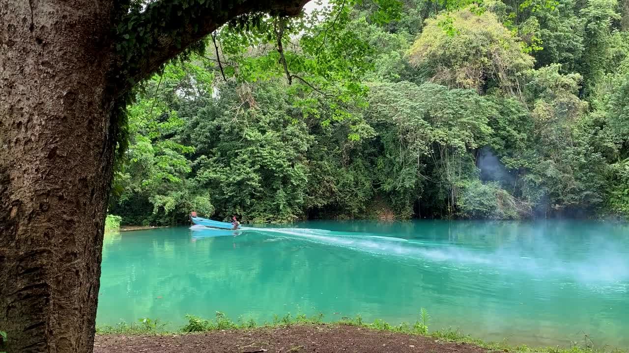 Small yola fishing boat leaving a magical blue lagoon surrounded by trees in the Caribbean and disappears through the trees leaving a trail of engine smoke