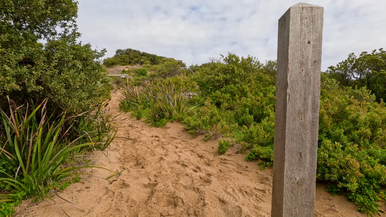 Una cámara de mano avanza por un sendero arenoso rodeado de vegetación costera verde