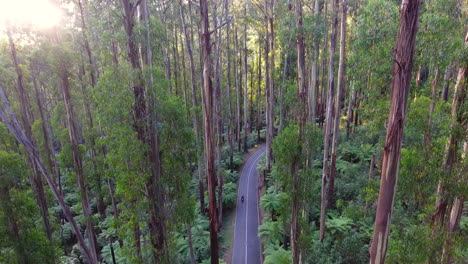 tracking vehicle through the black spur