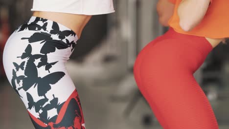 close-up of a sports figure of two women