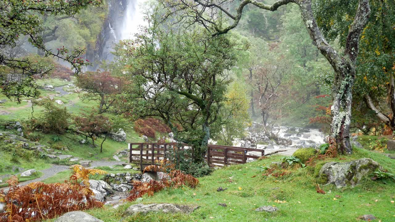 Idilliaco ponte di legno su una cascata a valle che si getta in un fiume dal flusso potente e armonioso.
