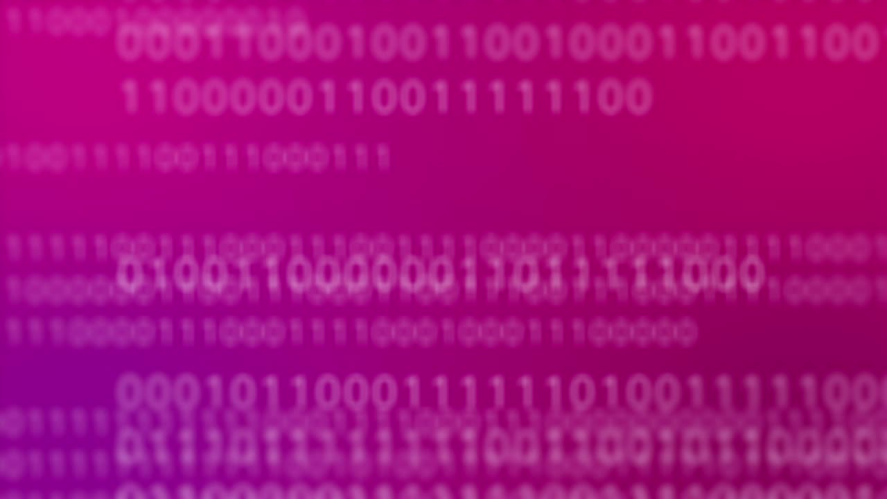 punk rosa mosca digital a través del paisaje binario