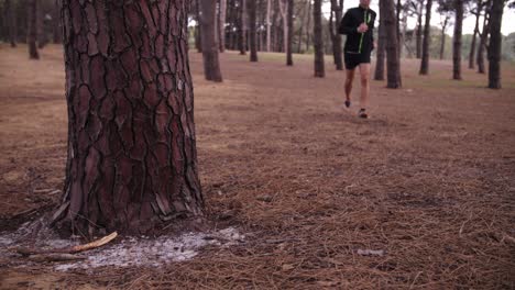 man jogging in slow motion with pine tree forest surrounding him