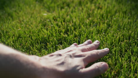 Hand-strokes-evenly-cut-grass-on-the-lawn