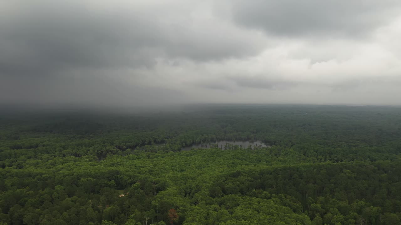 두꺼운 열대우림 위의 흐린 하늘의 조감도