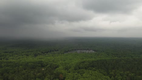 Aerial-View-of-Cloudy-Sky-Above-Thick-Rainforest