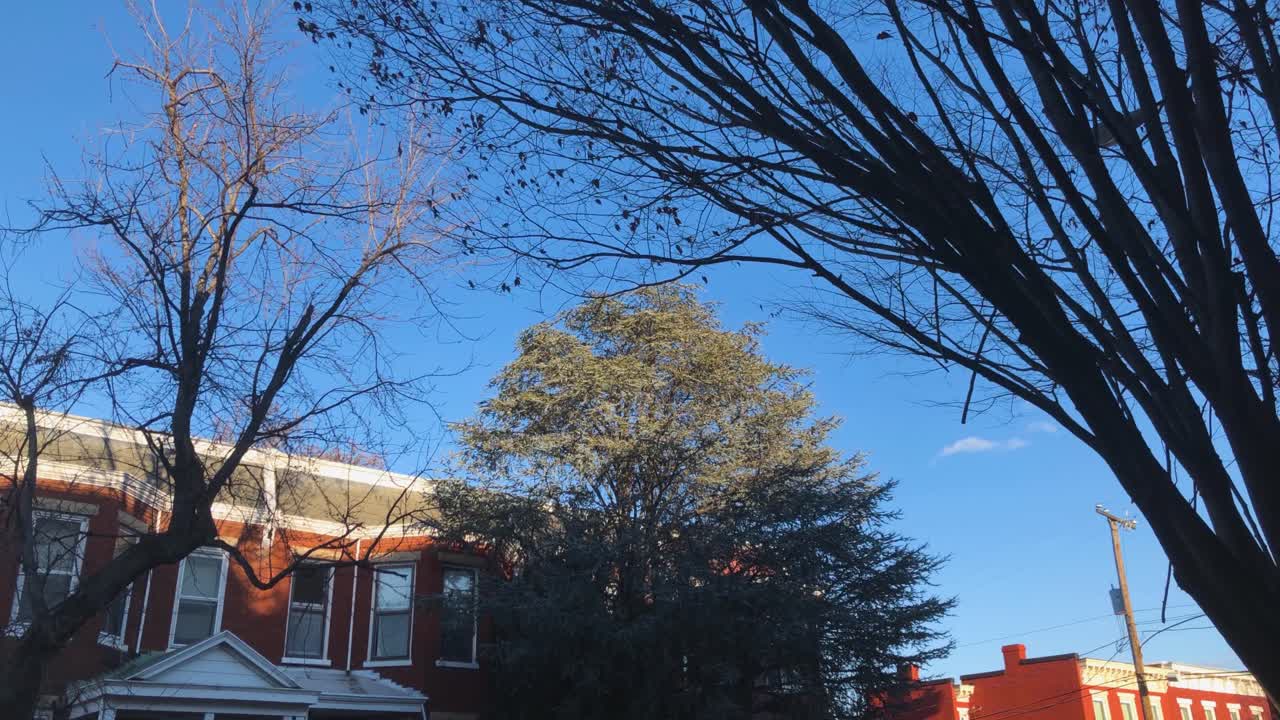 richmond va 시내의 도시 생활 타운 하우스 및 아파트 나무