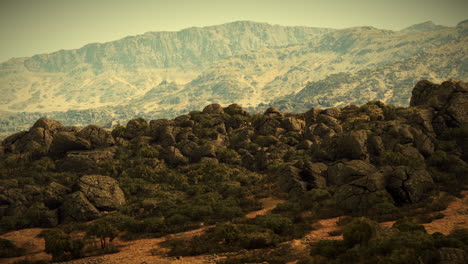 rocky mountain landscape