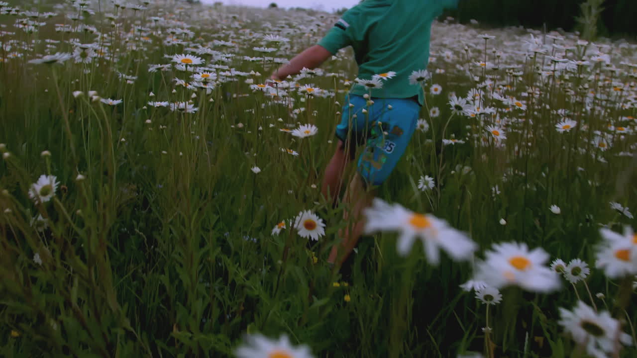 사탕수수 에서 달리는 아이